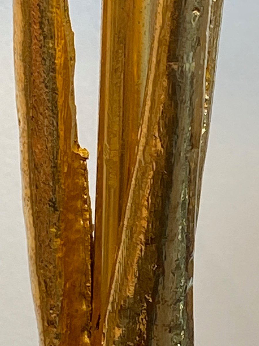 Pierre Casenove (1943), Pied de Lampe totem végétal